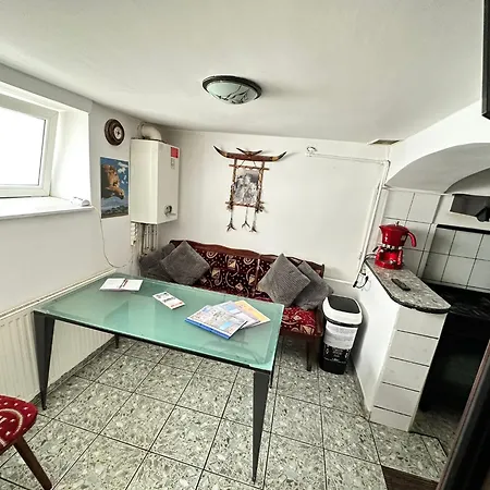 Casa Nicolae Teclu アパート